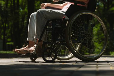 Güneşli bir yolda tekerlekli sandalyede oturan biri, ulaşılabilirliği ve dışarıdaki zevkleri vurguluyor..