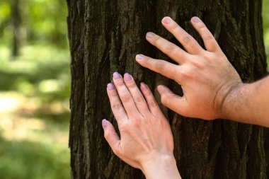 Bir ağacın kabuğuna nazikçe yerleştirilmiş iki el, sakin bir orman ortamında doğayla olan bağlantıyı simgeliyor..