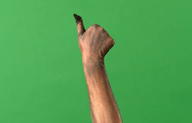 Ürkütücü zombi eli yeşil bir arka plan krom anahtarına izole edilmiş toprak ve çürüyen deriyle kaplı baş parmağını kaldırır. Cadılar Bayramı parti grafikleri, ürkütücü dekorasyonlar ve şenlikli medya tasarımı için mükemmel..