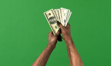 Creepy zombie hands hold a stack of cash, covered in dirt and decaying skin, isolated on a green background chromakey. Perfect for Halloween party graphics, spooky decorations, and festive media design.