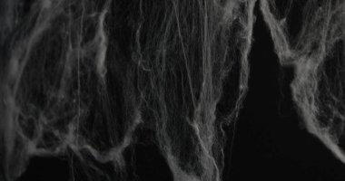 Gerçekçi bir örümcek ağı dokusunun yakın çekimi, Cadılar Bayramı teması için ideal. Karanlık, ürkütücü ve karmaşık..