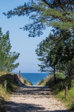 Baltık Denizi 'ndeki kumlu sahile giden kumlu bir patika.