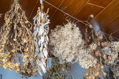 Ahşap bir tavandan sarkan çiçekler ve otlar da dahil olmak üzere çeşitli kurumuş bitkilerin canlı ve kırsal bir koleksiyonu. Düzenleme farklı doku ve şekillere sahip. Soluk yapraklardan, hassas bir nefes kümesine kadar..