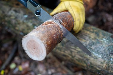 Detaylı, yakın plan bir görüntü, sarı eldiven giyen birini, küçük bir testere kullanarak odun keserken gösteriyor. Yeni kesilmiş kütük, testere sürecinden görünen talaşla başka bir kütüğün üzerinde duruyor..