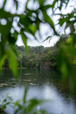 Bereketli yeşil yaprakların çerçevelediği yağmurla öpülmüş taş ocağı gölünün huzur veren güzelliğini yaşayın. Bu sakin doğal ortam, karanlık suların bulutlu bir gökyüzü altında orman uçurumlarını yansıtması, barışçıl bir inzivaya çekilme hissi uyandırıyor..