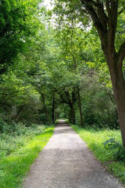 Sakin, düz çakıl yolu, yoğun, yemyeşil ağaçlar tarafından çerçevelenmiş ve doğal bir tünel oluşturan mesafeye çıkar. Bu davetkar orman geçidi, doğaya huzurlu bir kaçış sunuyor. Huzurlu gezintiler ya da tefekkür yolculukları için mükemmel..
