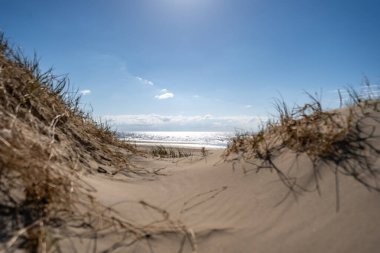 Güneşle sırılsıklam olmuş el değmemiş bir sahilin nefes kesici geniş açılı görüntüsü keşif ve rahatlamaya davetiye çıkarıyor. Yumuşak kum tepeleri seyrek, doğal çimenlerle bezenmiş ön planda, gözü ışıl ışıl okyanusun uçsuz bucaksız genişliğine doğru götürüyor..