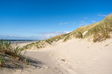 Huzurlu bir sahil kaçamağının özünü engin kum tepelerinin engin okyanusla buluştuğu bu çarpıcı yatay çekimle yakalayın. Dolambaçlı kumlu bir yol, parlak mavi gökyüzünün altındaki ışıldayan dalgalara doğru gözlere önderlik ederek keşfi davet eder..