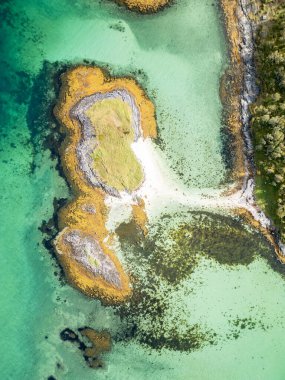 Doğrudan yukarıdan çekilen bu çarpıcı dikey hava fotoğrafıyla kıyı harikalar diyarının karmaşık güzelliğini keşfedin. Eşsiz şekilli bir ada, altın-kahverengi deniz yosunu kaplı kayalar ve canlı yeşil otlarla süslenmiş..