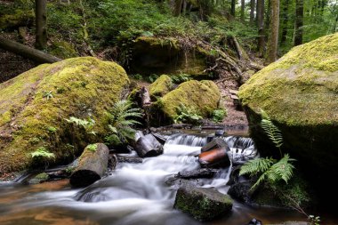 Kendinizi büyülü bir orman sahnesinin sükunetine bırakın, kristal gibi berrak bir akarsu zarif bir şekilde antik yosun kaplı kayaların etrafında akıyor. Eğrelti otları ve canlı yeşil çalılıklar orman zeminini örtüyor..