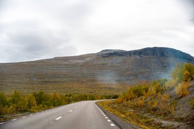 Issız ama güzel bir virajlı asfalt yolun büyüleyici manzarası uzak kuzey bölgesindeki geniş bir sonbahar tundrası boyunca uzanıyor. Ön planda, canlı sarı ve turuncu sonbahar renkleriyle alevler içindeki alçak bitki örtüsü yer alıyor..