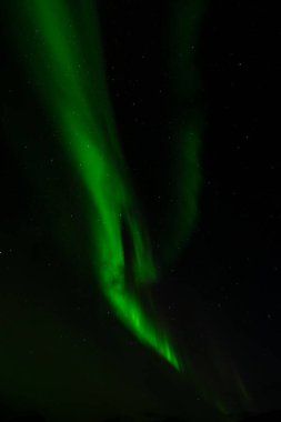 Muhteşem Aurora Borealis 'in nefes kesici dikey görüntüsü. Derin, karanlık gece gökyüzünde zarif bir şekilde dans eden yoğun yeşil ışıktan oluşan hareketli bir kolon sergiliyor. Sayısız parıldayan yıldız arka planda karabiber..