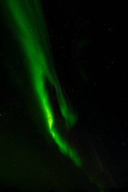 Muhteşem Aurora Borealis 'in nefes kesici dikey görüntüsü. Derin, karanlık gece gökyüzünde zarif bir şekilde dans eden yoğun yeşil ışıktan oluşan hareketli bir kolon sergiliyor. Sayısız parıldayan yıldız arka planda karabiber..