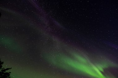 Aurora Borealis 'in görkemli bir görüntüsünü yakalayan, uçsuz bucaksız gece gökyüzünü ruhani ışıkla resmeden, hayranlık uyandıran geniş açılı bir fotoğraf. Parlak yeşil aurora çizgileri sahneye hakim..