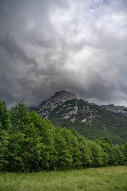 Önünde yemyeşil bir çayır ve ortasında sık bir orman bandosu bulunan görkemli bir Alp dağının manzarası. Engebeli, kayalık dağ, ağır ve bulutlu bir gökyüzü altında dramatik bir şekilde yükselir..