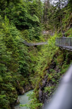Verdant Vadisi 'nde bu büyüleyici fotoğrafla maceraya atılmak. Derin bir kanyon boyunca uzanan modern bir çelik geçitle, aşağıda yoğun, yemyeşil ormanlar ve engebeli kaya oluşumlarıyla çevrili canlı yeşil bir nehir akıyor..