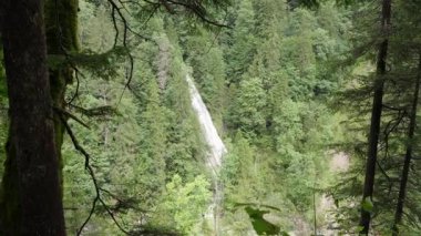Uzak, İnce Şelale 'nin Panoramik Manzarası Dik Bir Şelale Şelalesi, Lushly Ormanlı Dağ Ormanı, Vahşi Doğal Ormandaki Ön Ağaçlar Çerçevesi