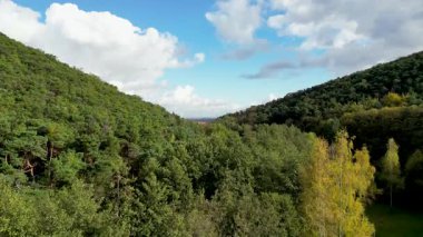Manzaralı bir dron, ormanlık yamaçlar arasında huzurlu bir vadiye kurulmuş güzel bir Avrupa kasabasını ortaya çıkarmak için yavaşça yükseliyor.