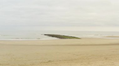 Boş bir kumsalda yosun kaplı bir dalganın bulutlu bir gökyüzü altında hafif dalgalarla huzurlu ve yüksek açılı drone görüntüsü.