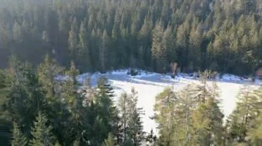 Yoğun, karla kaplı kozalaklı bir ormanla çevrili güzel donmuş bir gölün insansız hava aracı görüntüsü sakin ve el değmemiş kış çölünü yakalıyor..