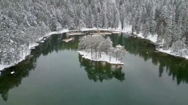 Sakin, yeşil bir gölde, el değmemiş bir kış ormanı manzarasıyla çevrili küçük, karla kaplı bir adanın barışçıl insansız hava aracı görüntüleri..