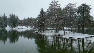 Idyllic Kış Gölü Huzuru: Orman adası, köy kulübesi ve sudaki sakin yansımaları olan sakin, karlı bir manzara.