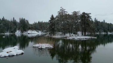 Huzurlu bir kış gölünün karla kaplı bir adayı ve sık bir ormandaki köy kulübesini yansıtan huzurlu bir zemin görüntüsü..