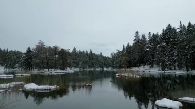Huzurlu Kış Gölü: Sakin, karanlık su, bulutlu gri gökyüzünün altında yoğun, karla kaplı bir çam ormanını mükemmel bir şekilde yansıtıyor, huzur ve yalnızlığı çağrıştırıyor..