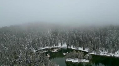 Serene Winter Lake View: Yoğun, karlı bir çam ormanıyla çevrili sakin bir gölün, huzurlu ve sisli bir gökyüzü altında çekilmiş bir görüntüsü.