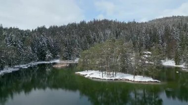 Idyllic Kış Gölü: Sakin, sakin bir göl, karla kaplı küçük bir ada ve kıyıda yoğun bir orman, sessiz, bulutlu bir gökyüzü altında ele geçirildi.