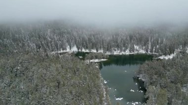 Görkemli Kış Manzarası: Yoğun, karla kaplı bir çam ormanıyla çevrili sakin bir gölün sisli, bulutlu bir gökyüzü altında havadan çekilmiş bir drone görüntüsü..