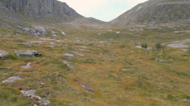 Norveç 'teki Görkemli Lofoten Vadisi: Huş Ağaçları ve Bulutlu Gökyüzü ile Engebeli Dağ Manzarası