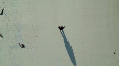 Uzun Gölge 'yle El değmemiş Beyaz Kum Sahilinde Tek Başına Yürüyen Bir Kişinin İHA görüntüsü