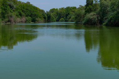Yeşil ormanı ve mavi suyu olan güzel bir nehir..