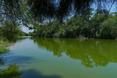 Ormandaki gölün güzel manzarası