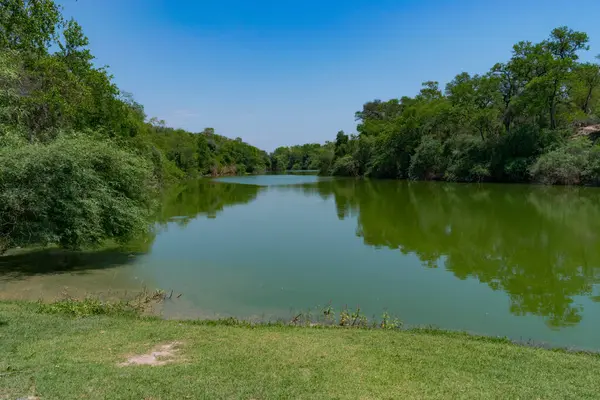 Parktaki nehrin güzel manzarası