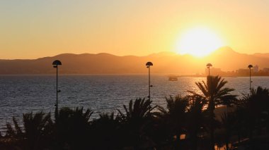 Sunset on the mediterranean beach in Mallorca. Palm trees and mountains silhouette. Summer wallpaper.