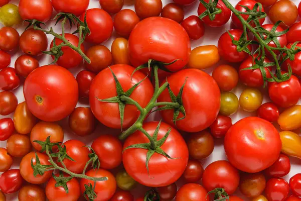 Variety of tomatoes texture. Fresh vegetable background. Top view.