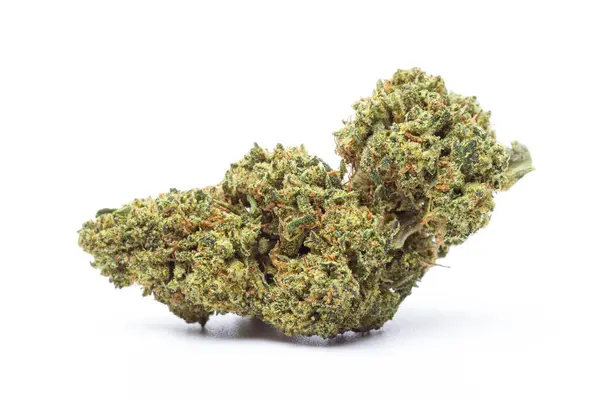 Beyaz arka planda izole edilmiş marihuana çiçeği. Kenevir fabrikasını kapatın..