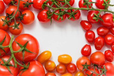 Variety of tomatoes on white background with copy space. Frame composition. Fresh vegetables. Top view.