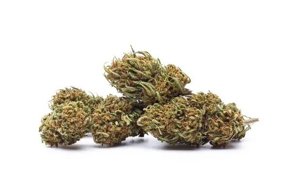 Beyaz arka planda izole edilmiş marihuana çiçeği. Esrar fabrikaları kapanır..