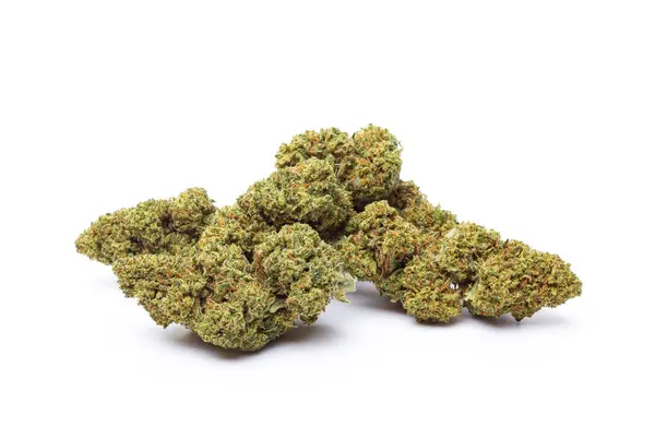 Beyaz arka planda izole edilmiş marihuana çiçekleri. Esrar fabrikaları kapanır..