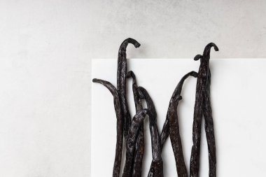 Gri arka planda vanilyalı fasulye. Kuru vanilya çubukları