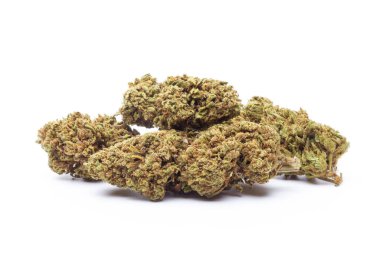 Beyaz arka planda izole edilmiş marihuana çiçekleri. Esrar fabrikaları kapanır..