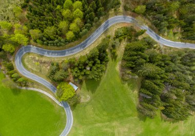 Ormandaki kıvrımlı alp yolu yeşil çayırlar ve verniktal bir kuşbakışı ormanlar