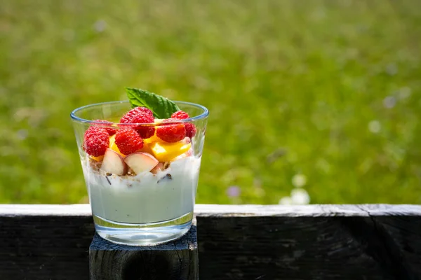 Tasty Looking Healthy Yoghurt Fresh Fruits Raspberries Peach Granola Mint — Stock Photo, Image