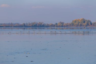 Göletin etrafındaki manzara. Balık tutmak için kurumuş gölet.