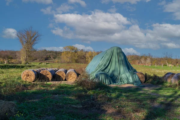 Wrapped Straw Bales Bales Stacked Meadow Covered Tarpaulin Rain — Fotografia de Stock