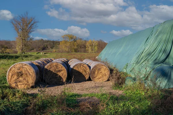 Wrapped Straw Bales Bales Stacked Meadow Covered Tarpaulin Rain — Stock Photo, Image