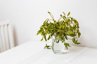 Vazoda yeşil ökseotu ve beyaz bir masa üzerinde su. Arkaplan beyaz.